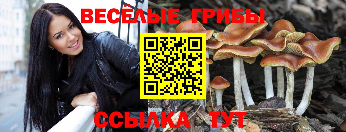 Псилоцибиновые грибы ЛСД  Вход с VPN  Астрахань 