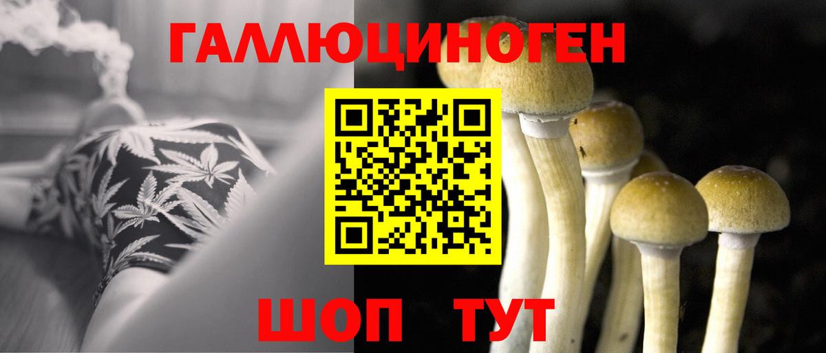 Псилоцибиновые грибы GOLDEN TEACHER  Псилоцибиновые грибы GOLDEN TEACHER  Астрахань 